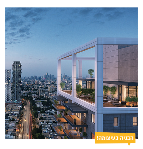 הדמיה-מוביל3