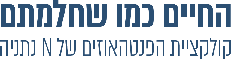 החיים כמו שדמיינתם קולקציית הפנטהאוזים של N נתניה