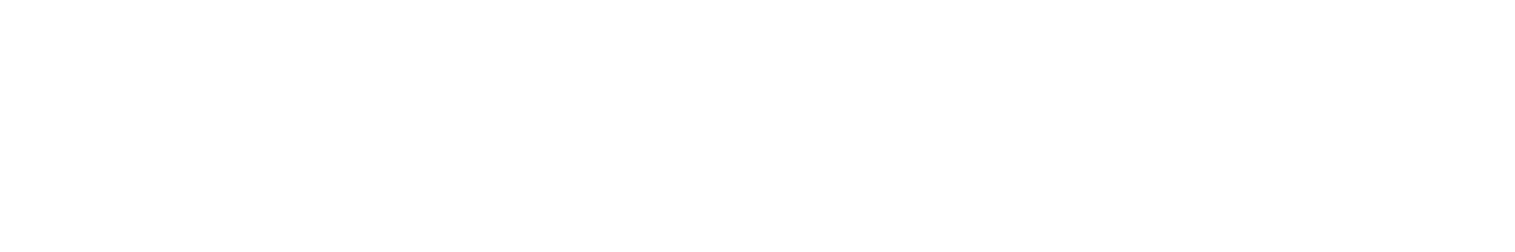 NEW-LOGO-SEPROS-WHITE