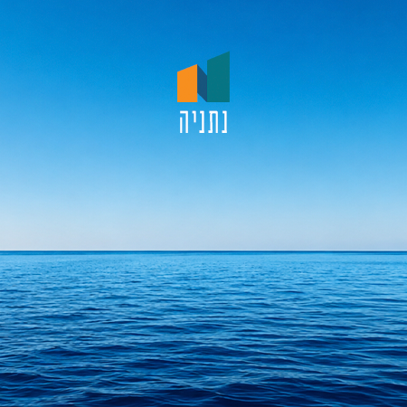 כללי 2